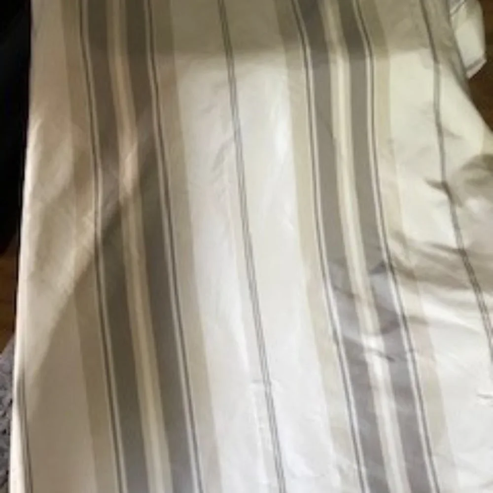 Restoration Hardware Striped Silk Taffeta Pocket Rod Drape